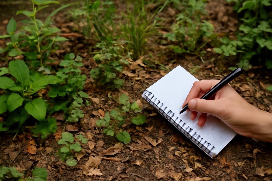 Close-up of a small urban green patch with plants, leaf litter, and a hand holding a notebook